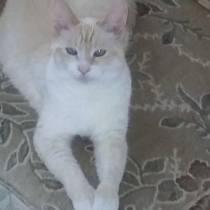 Meet your Posher, Matt